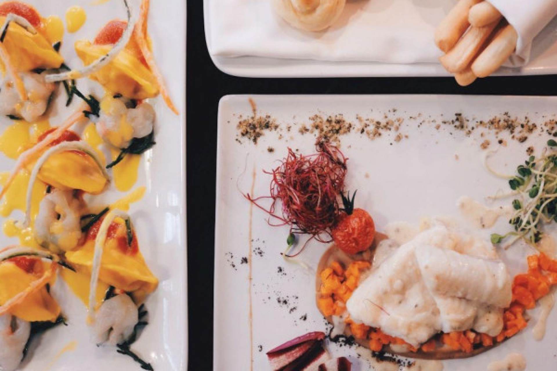 Dégustation de Vins et Dîner dans un Cadre Élégant