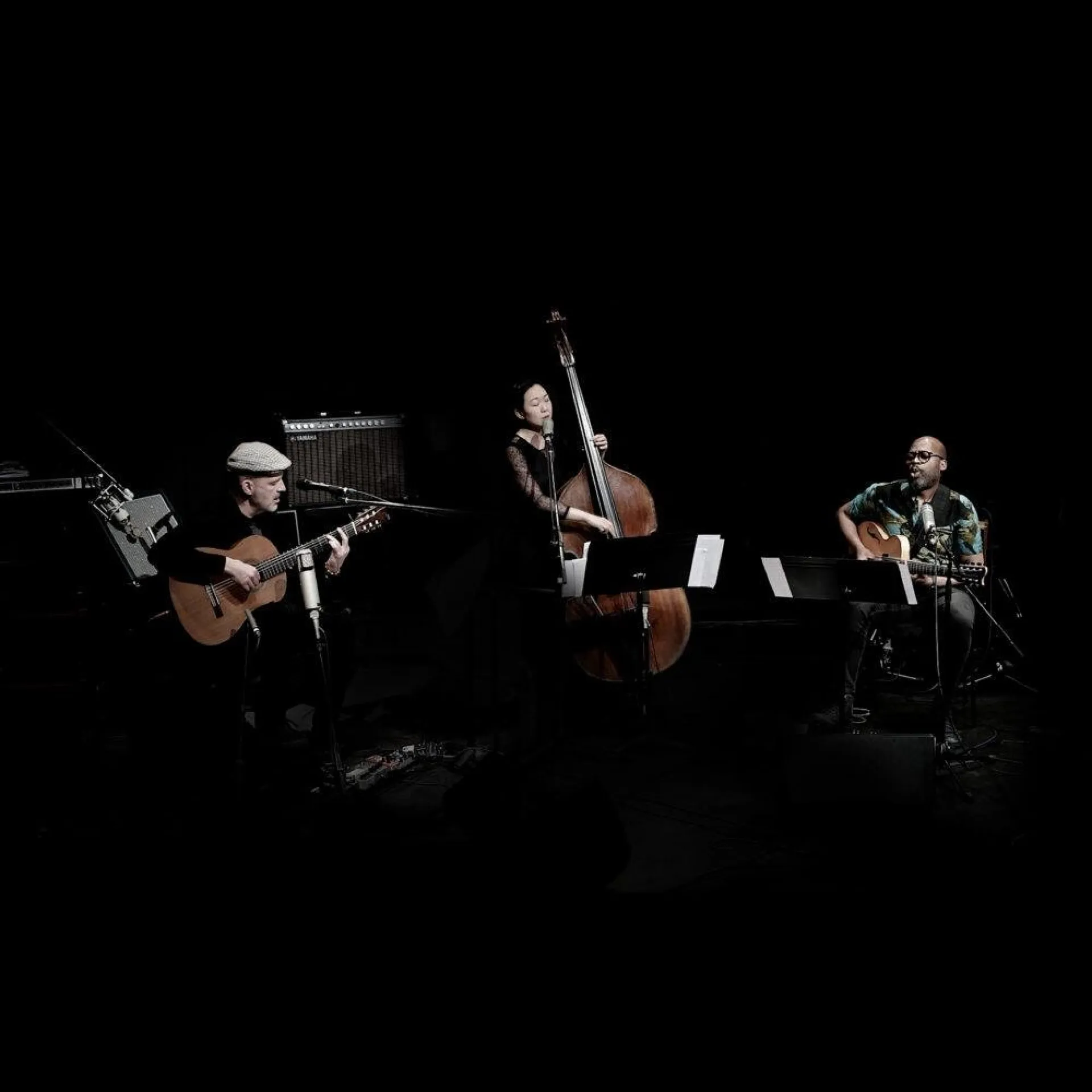 Wolfgang Muthspiel, Lionel Loueke And Linda May Han Oh