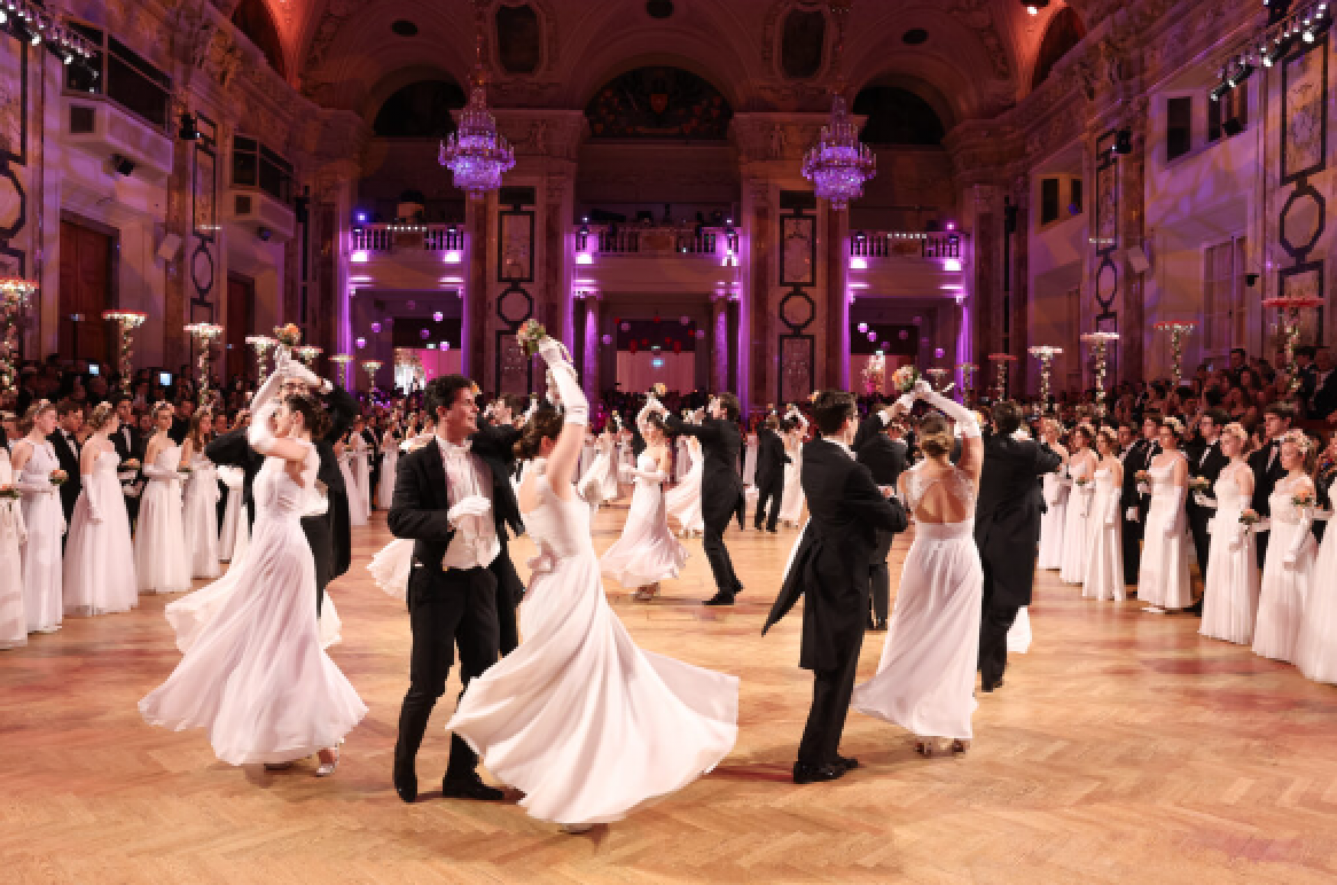 Juristenball - Sehr Strauss!