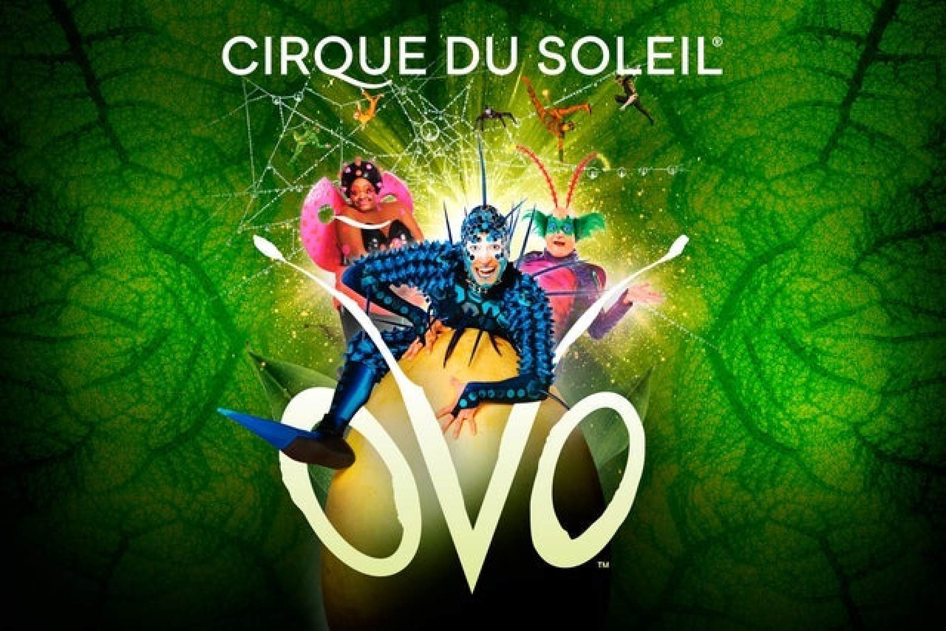 Cirque du Soleil, Ovo
