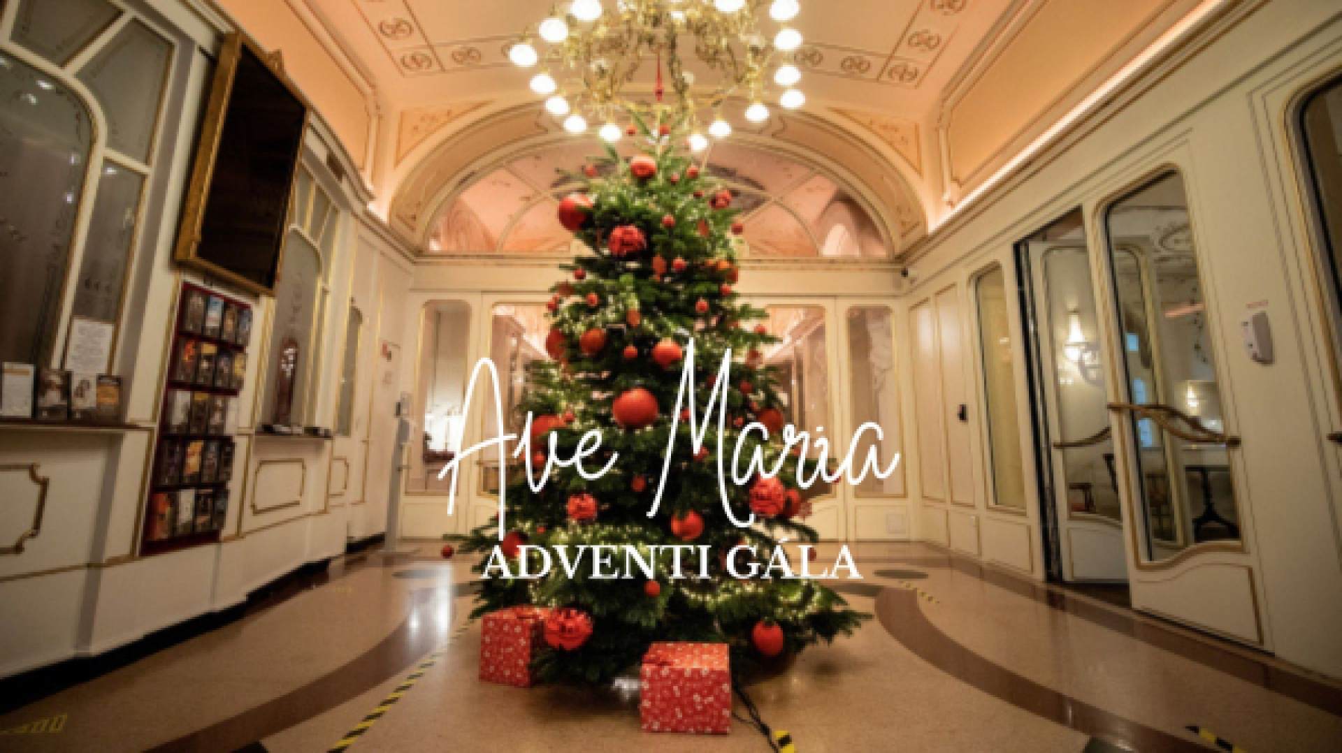 Ave Maria - Advent Gala
