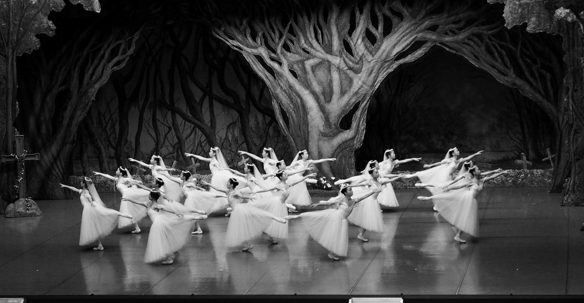 Ballet Preljocaj, Il lago dei cigni