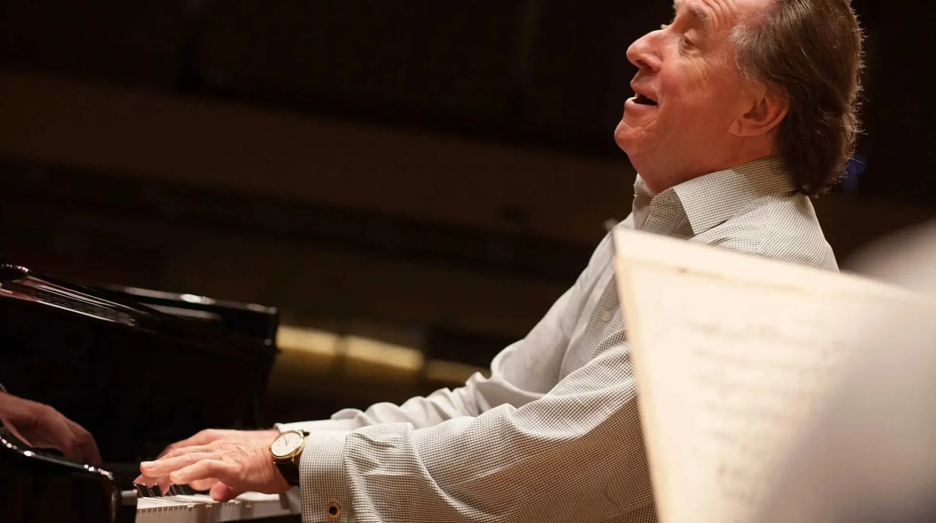 Rudolf Buchbinder, Piano