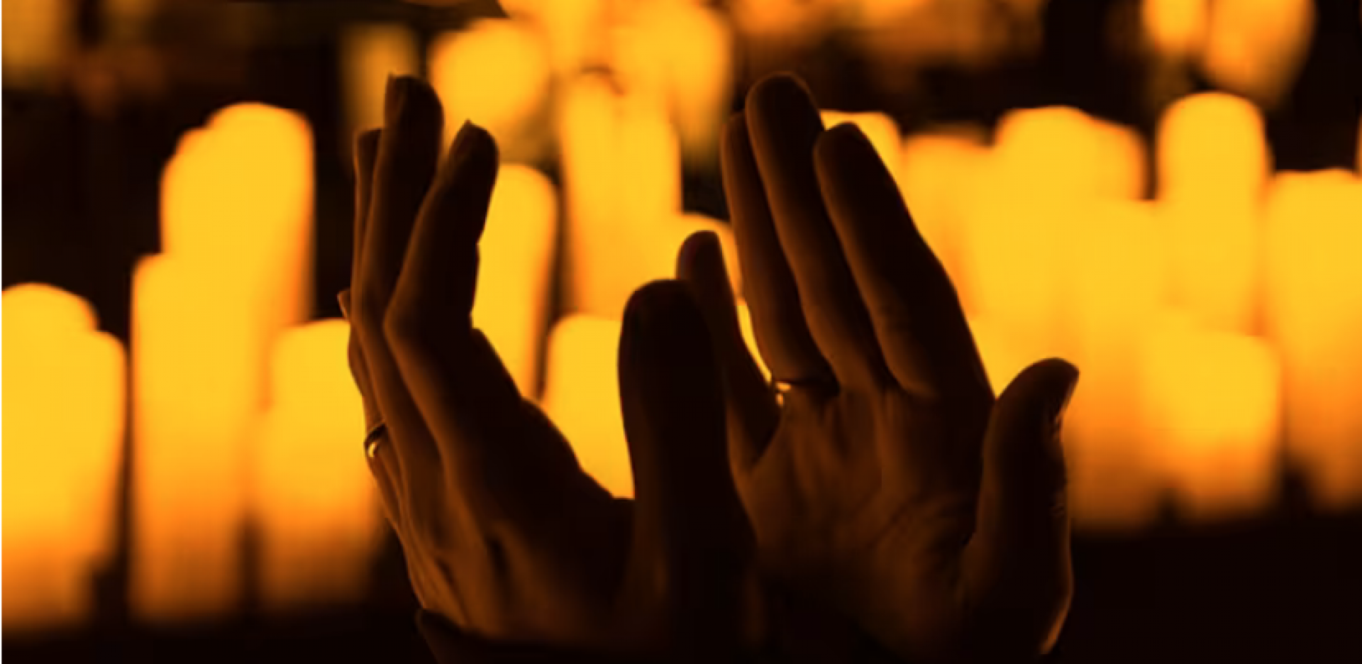 Candlelight, Tributo a Vasco Rossi