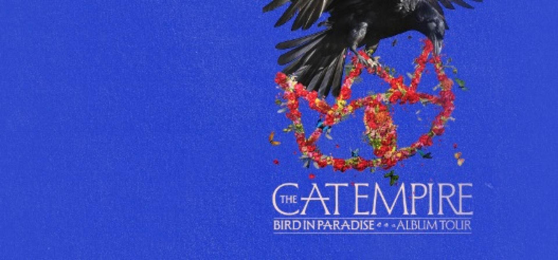 The Cat Empire, Album Tour
