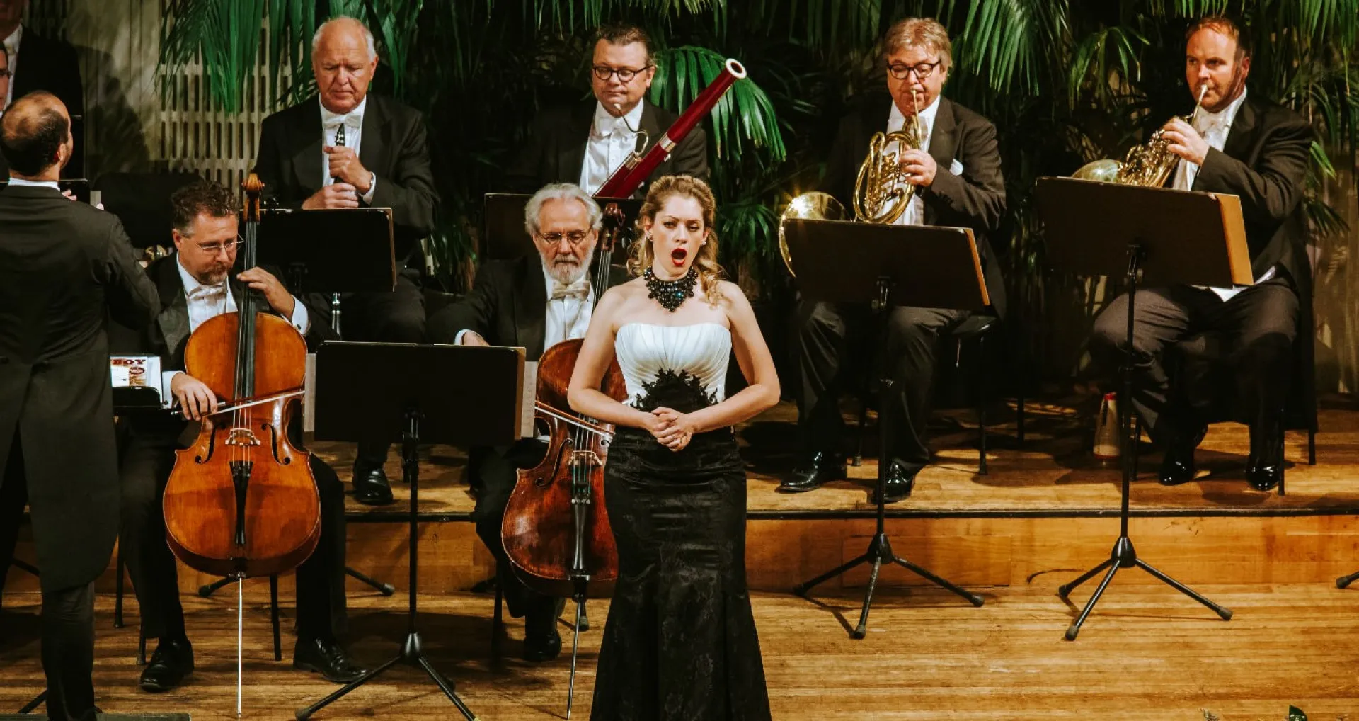 Vienna Hofburg Orchestra, Strauss and Mozart Concert