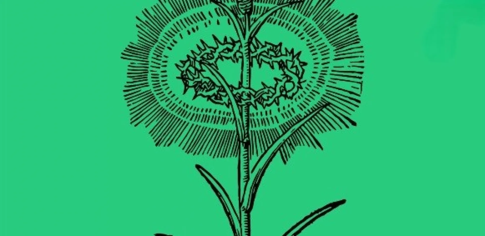 Nisi Dominus