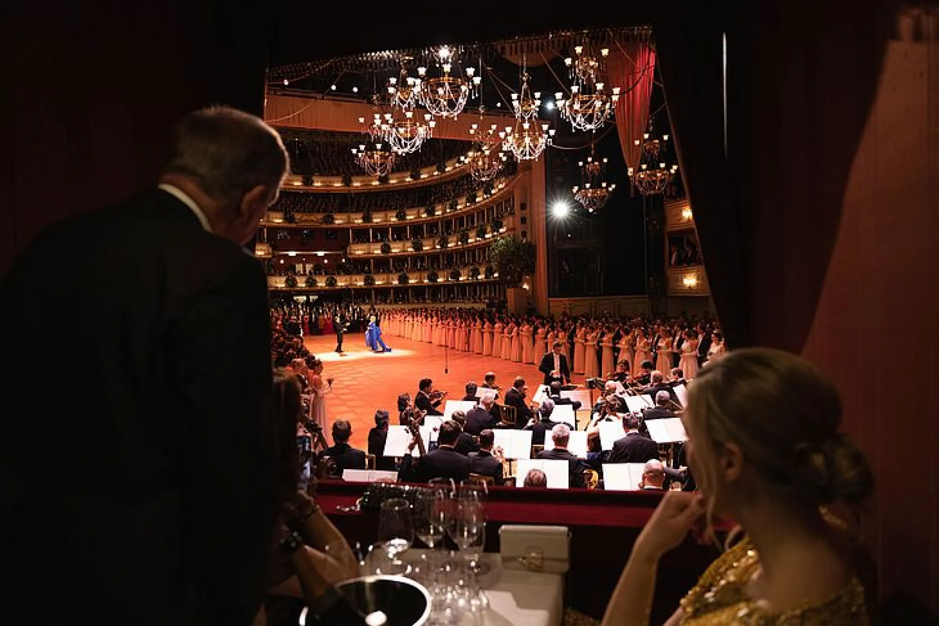 Wiener Opernball Logenansicht