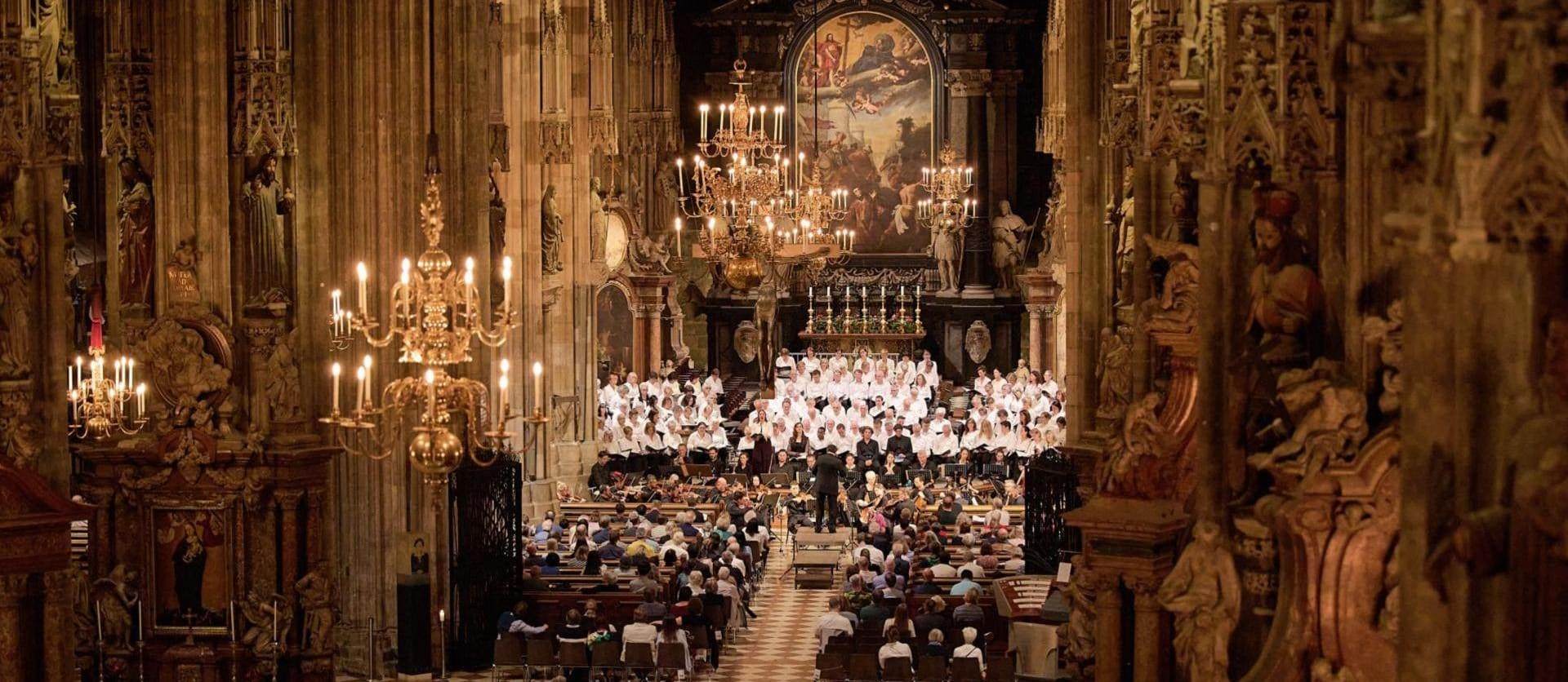 Concerti d´organo gigante nella Cattedrale di Santo Stefano