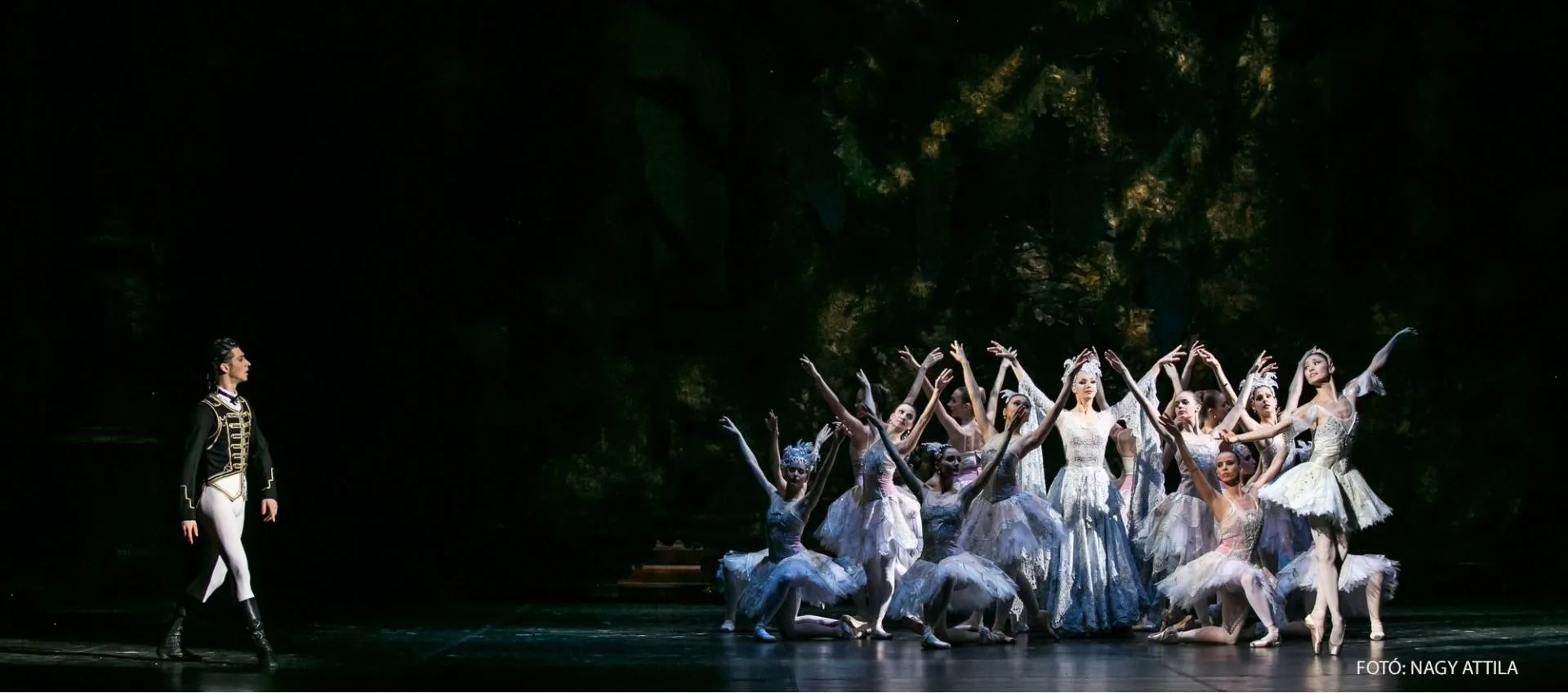 The Sleeping Beauty