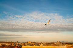 Vista Trastevere Roof Bar și Restaurant
