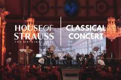 Casa Strauss, Concert Show