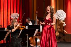 House of Strauss, Concert Show