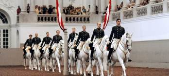 Spanish Riding School Vienna The Performance