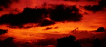 Die Göttliche Komödie, Musical-Oper