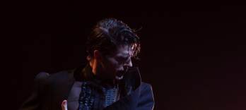 The Stars, Flamenco Gala, Spanish Dance