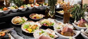 Dinner and Cruise with Folklore Live Music and Dance Show