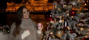 クリスマスマーケット・クルーズ