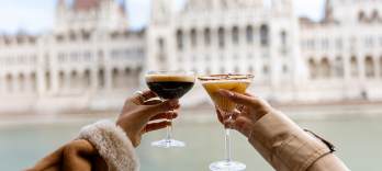 Cocktail-Kreuzfahrt in der Innenstadt von Budapest
