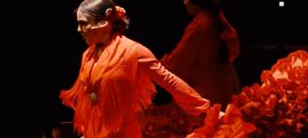Flamenco Barcelona la ​​Teatrul Primăriei