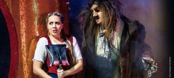 美女と野獣 ザ・ミュージカル