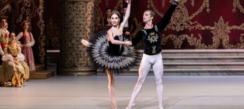 Лебединое озеро