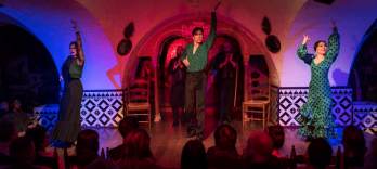 Tablao Flamenco Cordobes Spectacol + Băutură