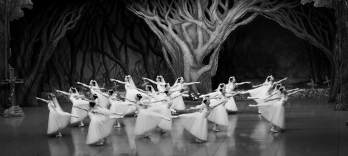 Ballet Preljocaj, Le Lac des cygnes