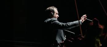 Ослиная Шкура, Жак Деми