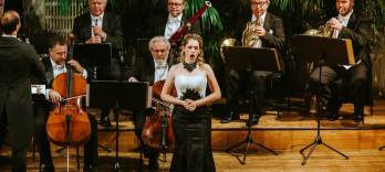 Orchestra Hofburg din Viena, Concert Strauss și Mozart