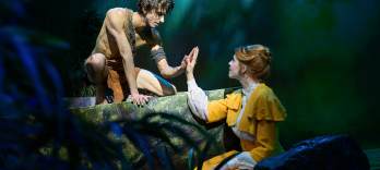 Tarzan, Musicalul