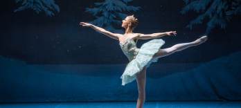 Щелкунчик, Рождественская история