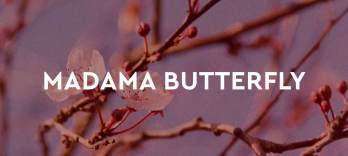 Madama Butterfly Puccini Festival 2026