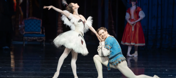 Illusionen, Wie Schwanensee Ballett