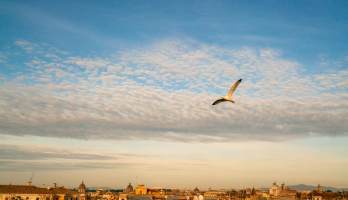 Vista Trastevere ルーフバー＆レストラン