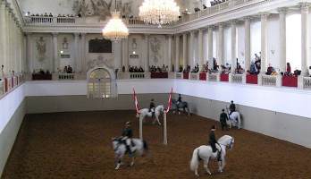 Spanish Riding School Vienna - Tribute to Vienna