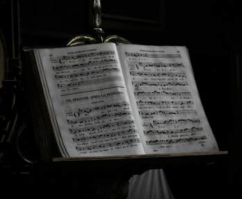 Лука Сальси