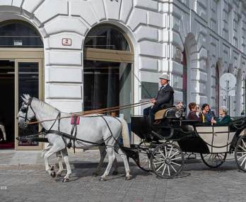 Поездка в карете, запряженной лошадьми, в Вене