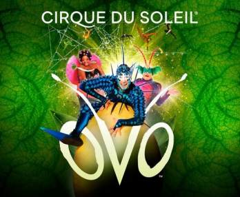 Cirque du Soleil, Ovo