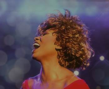 Simply The Best, Die Tina Turner Story