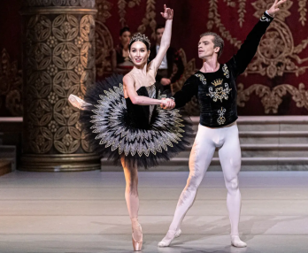 El Lago de los Cisnes