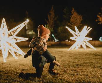 ルミナ・ライトパーク・ワンダーワールド