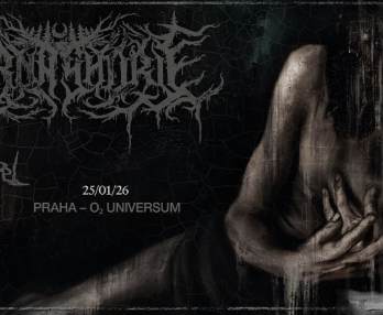 Lorna Shore
