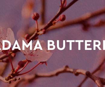 Madama Butterfly Puccini Festival 2026