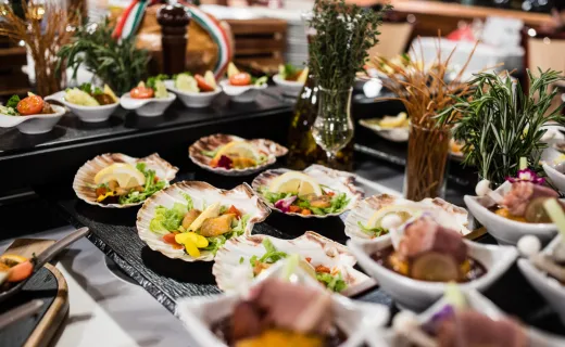 Dinner & Cruise with Folklore Live Music and Dance Show