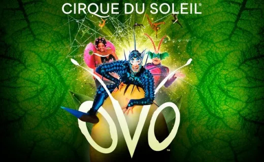 Cirque du Soleil, Ovo