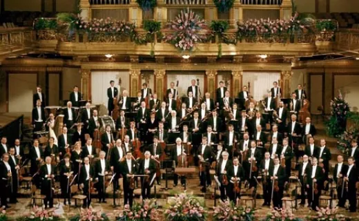 Wiener Symphoniker 