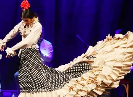 Flamenco show in Dalmases Palace