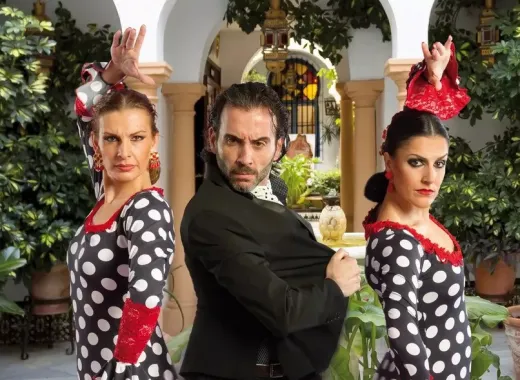 Arte Flamenco