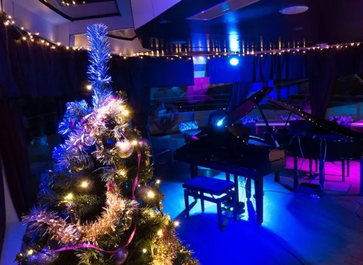 Cena de Navidad y Crucero